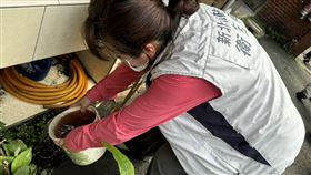 新北市衛生局今日宣佈新增15例本土登革熱病例，4男11女，為新店區8例、中和區7例。（圖／新北衛生局提供）