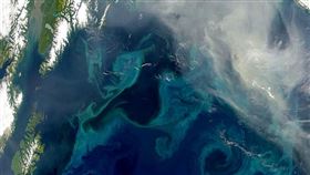阿拉斯加海灣(圖/翻攝自https://visibleearth.nasa.gov/)
