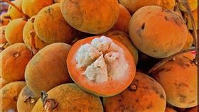 泰國命名颱風「山陀兒」！它口感酸甜長得像山竹　台灣中南部也有