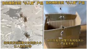 大閘蟹,拇指,螃蟹,網購（圖／翻攝自微博）