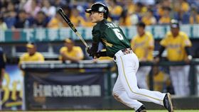 ▲王博玄敲出生涯第100安。（圖／台鋼雄鷹提供）