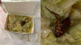 白菜滷裡有蟑螂。（圖／翻攝自臉書社團「●【爆料公社官方專屬】●」）