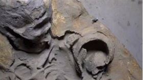 台中母嬰相擁「埋5千年」真相曝:疫情死亡（圖／翻攝國立自然科學博館YT)