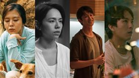 2024金馬預測。（圖／片商提供）