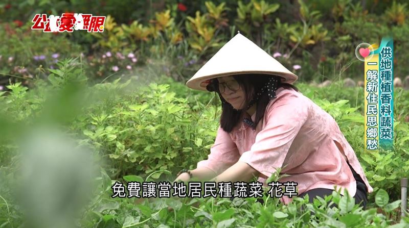 公益愛無限／供地種植香料蔬菜　一解新住民思鄉愁 | 生活 | 三立新聞網  SETN.COM