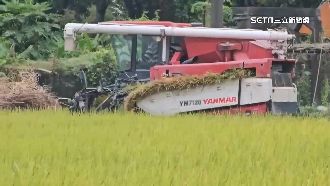 福壽山農場樹狂搖　合歡山13級風、機車倒