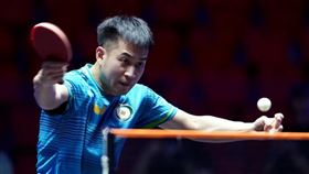 台灣桌球好手「山豬」廖振珽。（圖／翻攝自WTT官網）