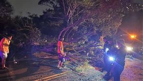 ▲桃園環保公園前，山陀兒颱風風強，消防人員、區公所等相關單位正在排除橫躺路中央巨大路樹。（圖／翻攝畫面）