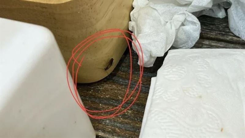 吃完牛排驚見「蟑螂爬出調味罐」恐罰6萬