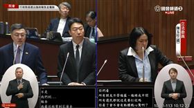 陳玉珍質詢卓榮泰。(圖/翻攝自國會頻道YT)