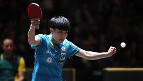 鄭怡靜直落三解決荷蘭好手埃爾蘭。（圖／翻攝自WTT官網）