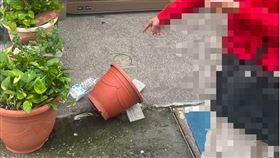 家暴令,復合,拒絕,潑汽油,恐嚇罪