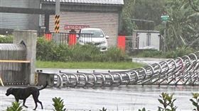 耕莘專校教官撐傘進學校。（圖／翻攝自「Threads」）