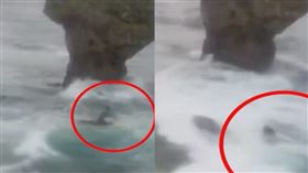 2名男子結伴玩命，SUP划了就出海，秒被駭浪內捲打翻，人瞬間消失在海中。（圖／翻攝自屏東縣交觀處）