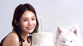 鮪魚。（圖／翻攝自IG）