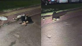 中國一名醉漢遭到蟒蛇綑綁。（圖／翻攝自網易新聞）