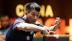 ▲台灣桌球好手「山豬」廖振珽。（圖／翻攝自WTT官網）