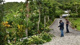 花蓮,民宿,鋁梯