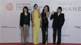 釜山影展楊謹華、陳庭妮。（圖／翻攝自Naver）