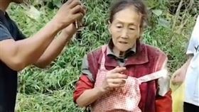 77歲嬤上山遭野豬咬傷！「拿鐮刀單挑」成功反殺（圖／翻攝自搜狐）