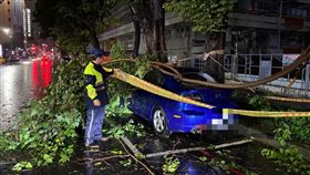 颱風夜高雄新興區路樹倒塌　砸中停車格內自小客車，（圖／翻攝畫面）