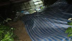 颱風來襲基隆東信路土石流 住戶憂心颱風山陀兒來襲，基隆市2日晚間9時許一陣強降雨，東信路180巷一戶民宅後方山坡發生土石流，市府緊急在山坡加蓋帆布，市長謝國樑到場瞭解後，指示區公所先堆疊沙包阻擋，待雨勢和緩後派員清理。（讀者提供）中央社記者王朝鈺傳真 113年10月3日