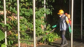 1206北市登革熱 (北市衛生局提供)