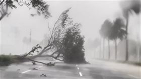 山陀兒,高雄市,第七貨櫃中心