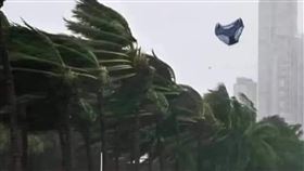 誰家內褲飛了？嘉義驚見「女性內褲」飛空中　網歪樓：山陀兒的褲褲。（圖／翻攝自臉書嘉義綠豆大小事）