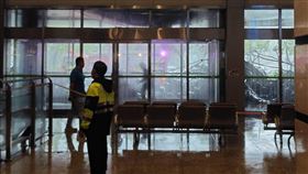 山陀兒,高雄市,長庚醫院,屋頂