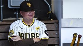 ▲教士總教練席爾特（Mike Shildt）（圖／美聯社／達志影像）