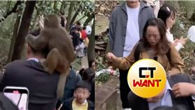 大陸,十一連假,貴州貴陽,黔靈山景區,猴子,假髮,禿頭,遊客