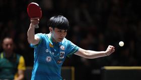 台灣桌球一姐鄭怡靜。（圖／翻攝自WTT官網）