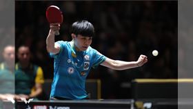 台灣桌球一姐鄭怡靜。（圖／翻攝自WTT官網）