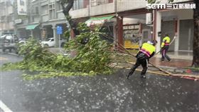 網路上曝光一張員警冒風雨清除巨樹照片，暖哭了市民。（圖／翻攝畫面）