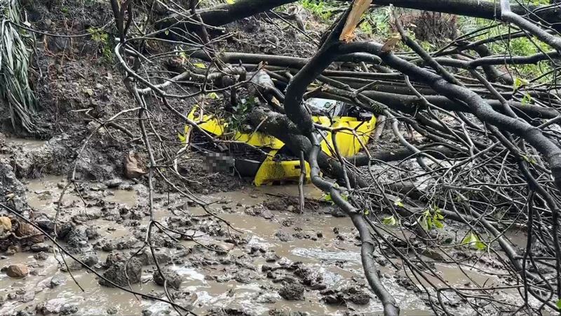 基隆月眉路山崩！車主眼睜睜見車被樹壓毀