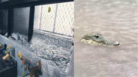 ▲有網友發現窗台出現大量泡沫；另有鄉民拍到淹水的大馬路上，有鱷魚頭漂過。（圖／翻攝自臉書／爆廢公社、爆料公社）