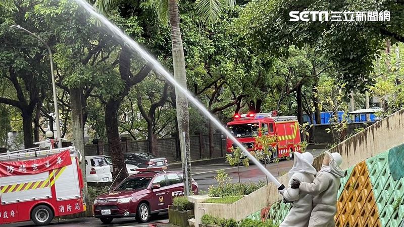 7警專生遭虎頭蜂螫傷　警消射水摘除蜂巢