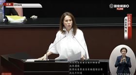 高金素梅出席國是論壇。（圖／翻攝自國會頻道）