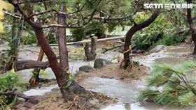 夫妻2人最終雙雙陳屍於松樹園區（圖／記者林俊華攝）