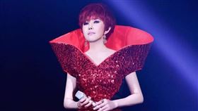 江蕙因長期受暈眩症纏身，2015年決定封麥引退。（圖／翻攝自臉書）