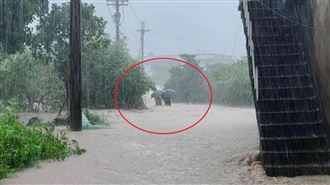 金山瓜農返家遇死劫　夫妻雙亡最後身影曝