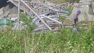 颱風重創！高屏農漁損近3億　果園遭吹倒