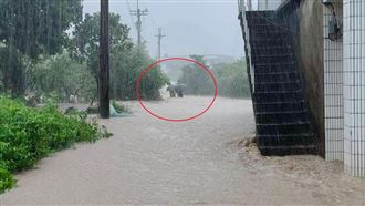 鄰居挽留雨大晚點走　夫妻離家剩百米喪命