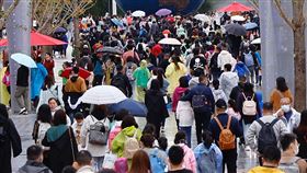 環球影城帶動  北京躍為十一長假最熱門目的地旅遊大數據顯示，受到新開幕的環球影城帶動，首都北京市在今年「十一」長假躍為中國最熱門的旅遊目的地。圖為10月5日，大批遊客冒雨湧入北京環球影城。（中新社提供）中央社  110年10月7日