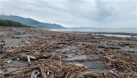 台東海岸線漂流木。（圖／翻攝自農業部林業及自然保育署台東分署）