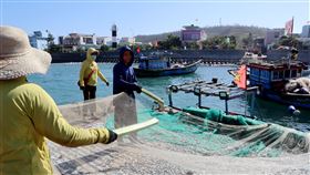 越南廣義省漁民嘆中國在南海殘暴加劇越南廣義省許多民眾靠捕魚為生，但當地漁民反映近年來中國執法單位在南海的殘暴程度不斷升級，讓他們很擔憂。圖為廣義省漁民，攝於112年8月5日。中央社記者陳家倫廣義省攝  113年10月5日