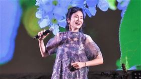 「青春不打烊 民歌經典演唱會」葉歡（圖／瑞揚創意提供）