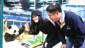 游淑慧今天貼出舊照表示，二姊與台北市的情牽不斷，她也透露，自己很幸運，二姊從小巨蛋唱到大巨蛋，從未缺席。（圖／翻攝自游淑慧臉書）