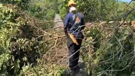 高雄1名75歲老翁登壽山失聯，結果在南壽山停車場附近邊坡尋獲，但已明顯死亡。
（圖／翻攝畫面）